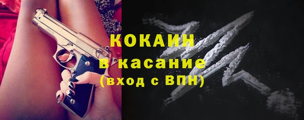 дмт Ладушкин