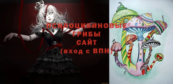 apvp Алзамай