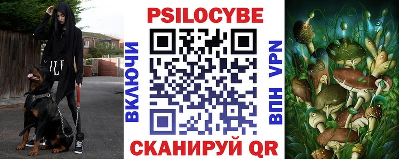 Псилоцибиновые грибы Cubensis  kraken ссылки  Первоуральск  купить наркотики сайты 